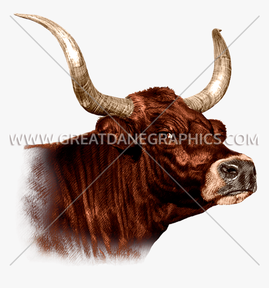 Bull , Png Download - Clip Art, Transparent Png