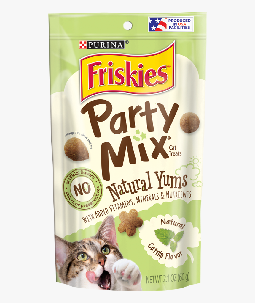 Domestic Short-haired Cat, HD Png Download