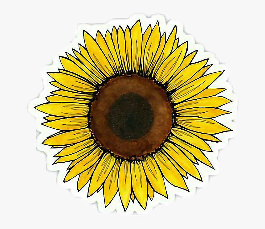 Yellow Flower Clipart Tumblr Transparent - Sunflower Sticker, HD Png Download