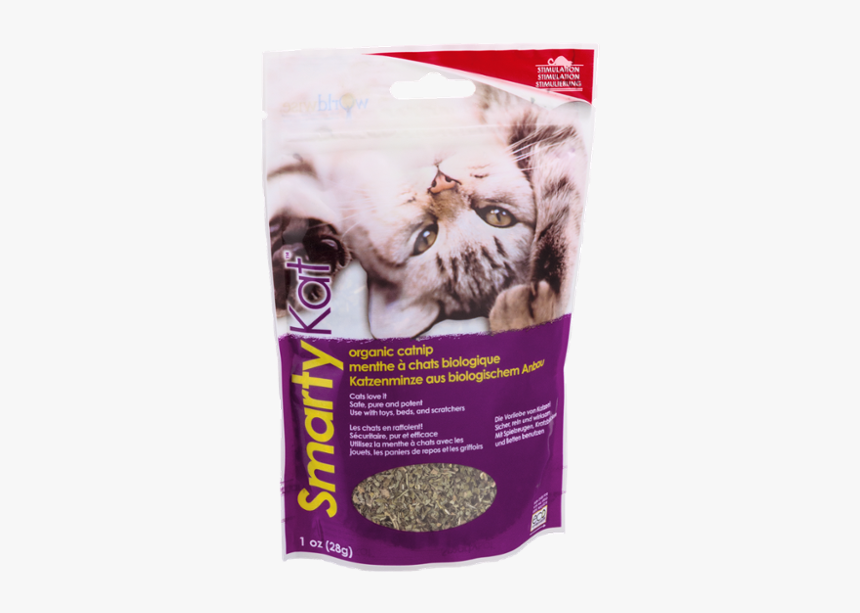 Kitten, HD Png Download