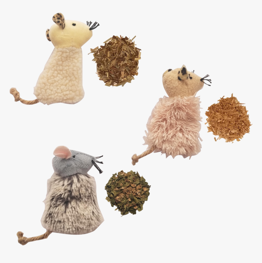 Actinidia Polygama, HD Png Download