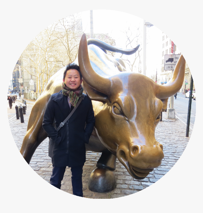 With The Wall St Bull - Charging Bull, HD Png Download