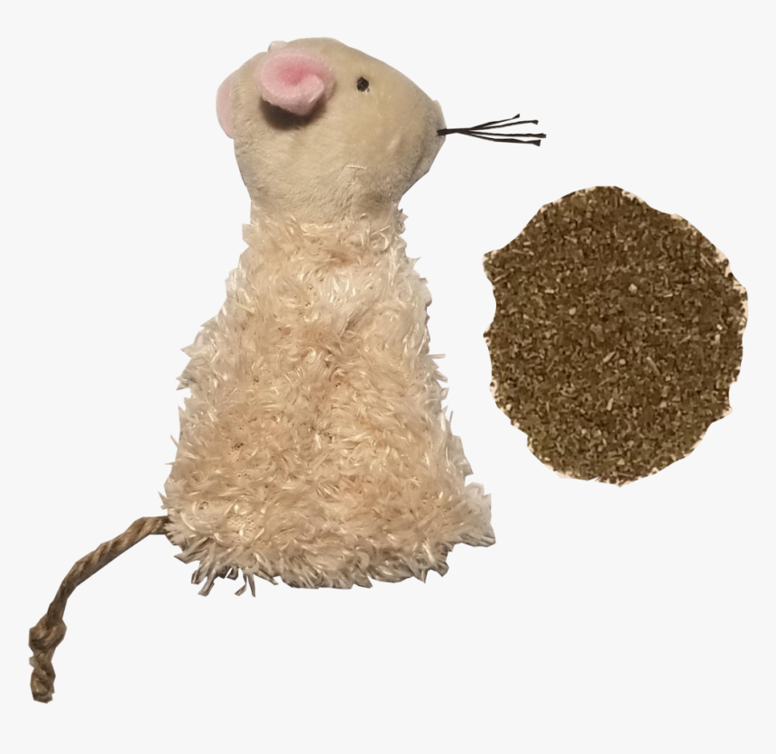 Rat, HD Png Download