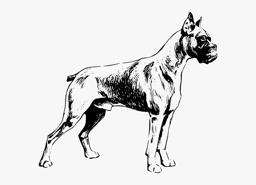 Free Vector Boxer Clip Art - Full Body Dog Drawing, HD Png Download