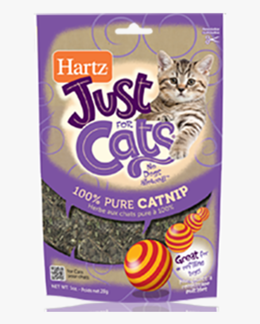 Catnip Just For Cats, HD Png Download