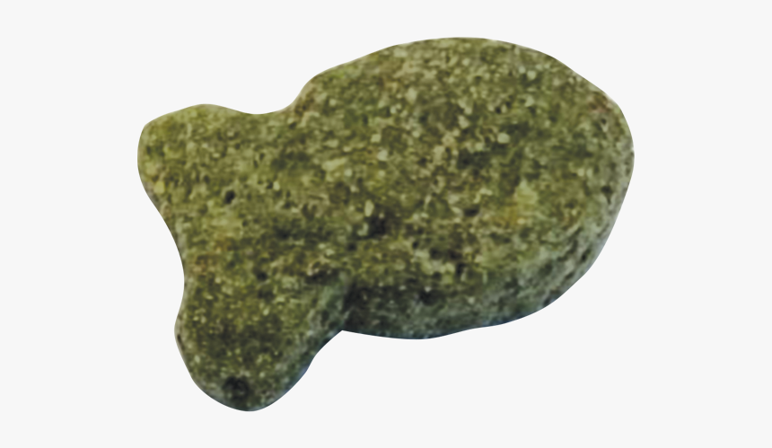 Gulf Flounder, HD Png Download