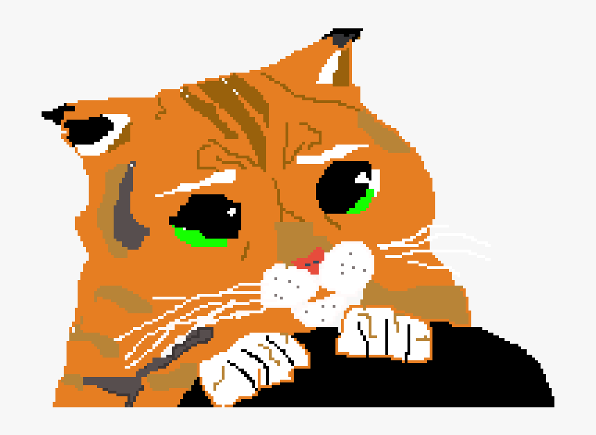 Domestic Short-haired Cat, HD Png Download