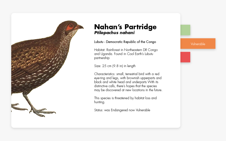 Chicken, HD Png Download