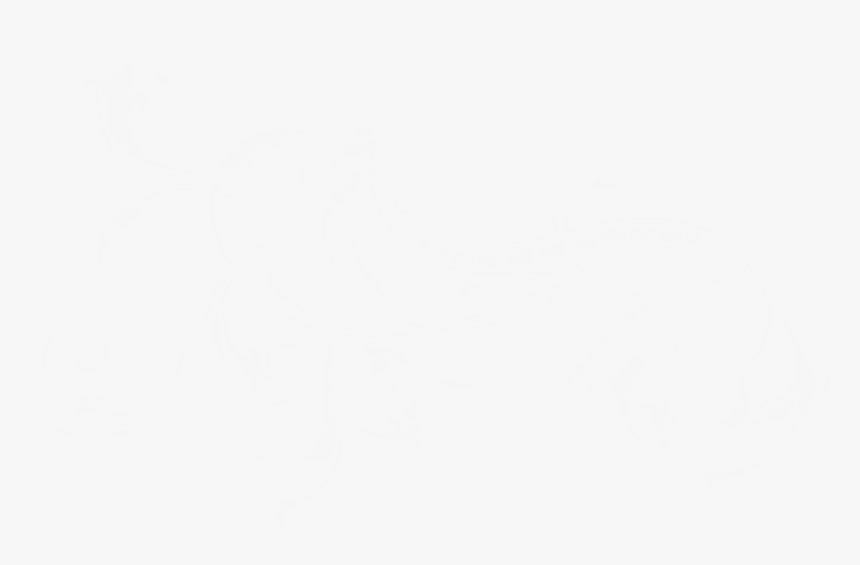 Since 2004, Sheila Mayden Interiors Has Been Creating - Transparent Filigree Designs, HD Png Download