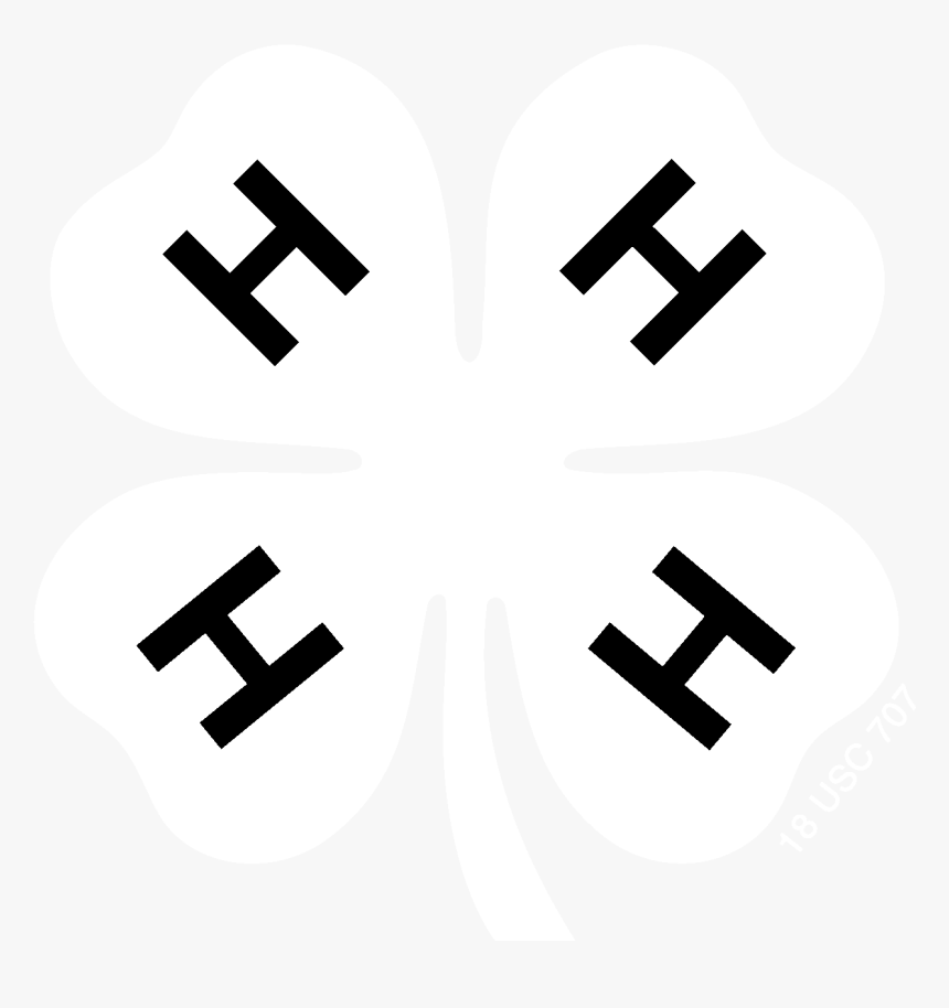 Transparent White Four Leaf Clover Png - White 4 H Clover Png, Png Download