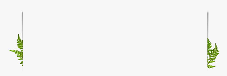 Parallel, HD Png Download