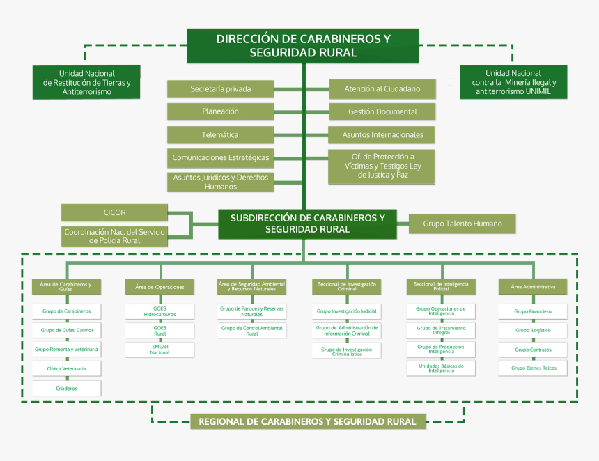 Organigrama Dicar, HD Png Download