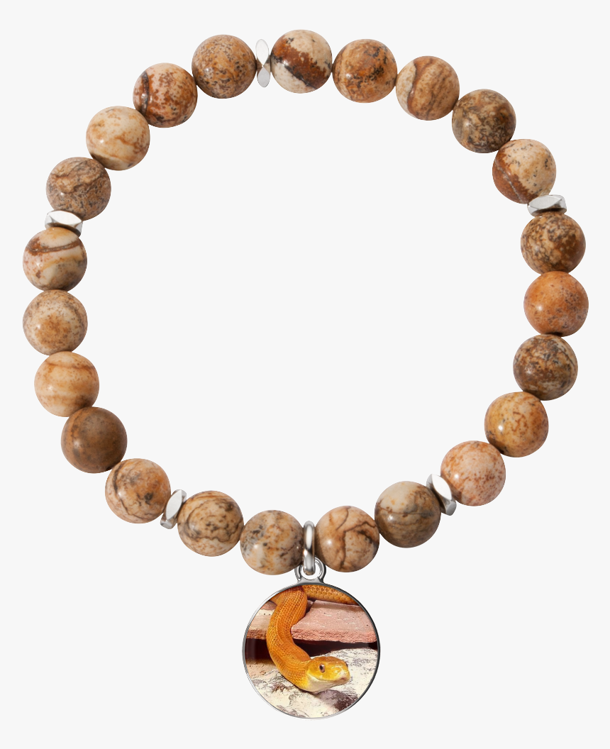 Eye Of The Beholder Charm Bracelet, HD Png Download , Transparent Png