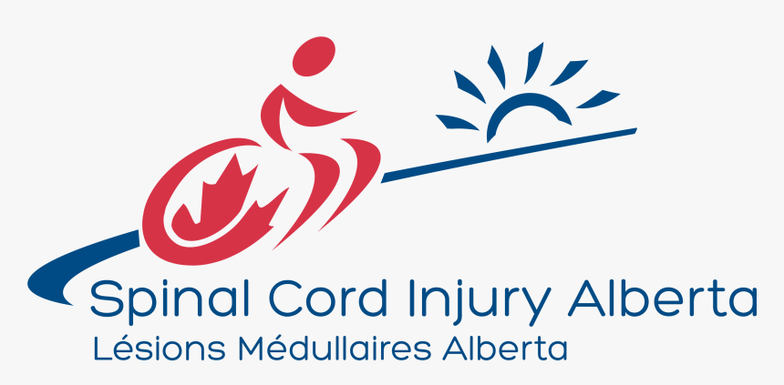 Spinal Cord Png, Transparent Png