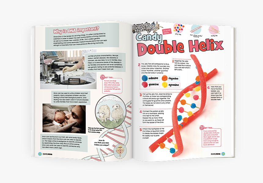 Dna, HD Png Download