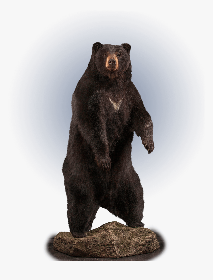 Standing black. высокий чёрный силуэт. стойки dali fazon sat. Dali fazon sat floor stand. фон падающий чел сзади черный.