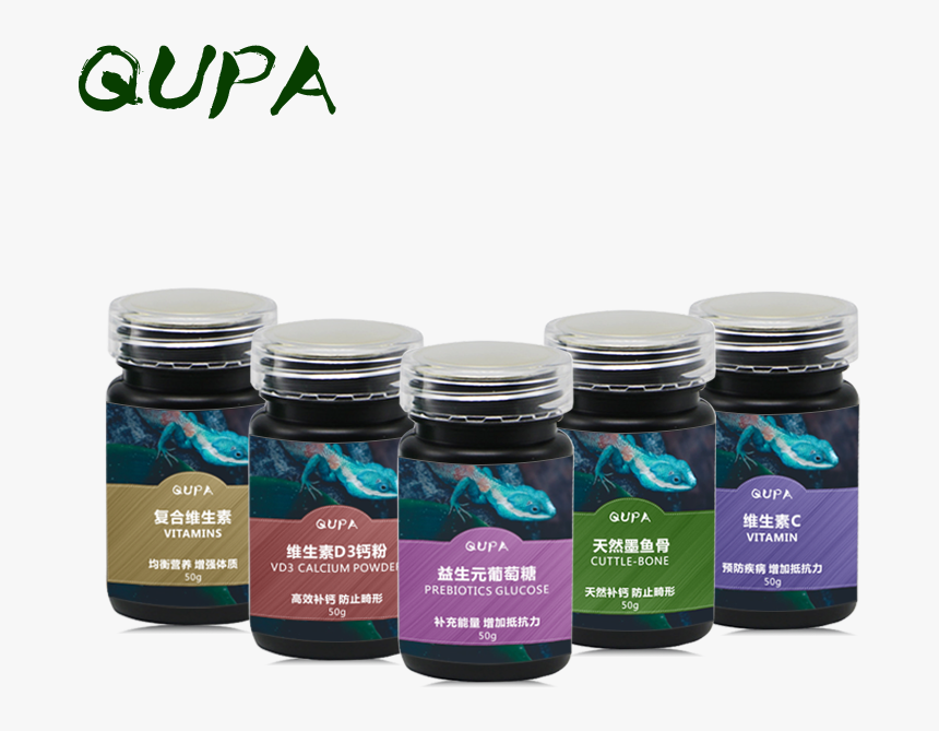 Transparent Geico Lizard Png, Png Download