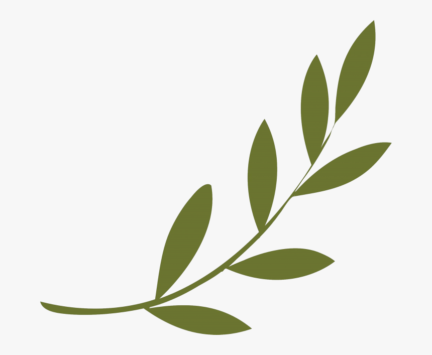 Olive Branch Peace Symbols Olive Wreath, HD Png Download
