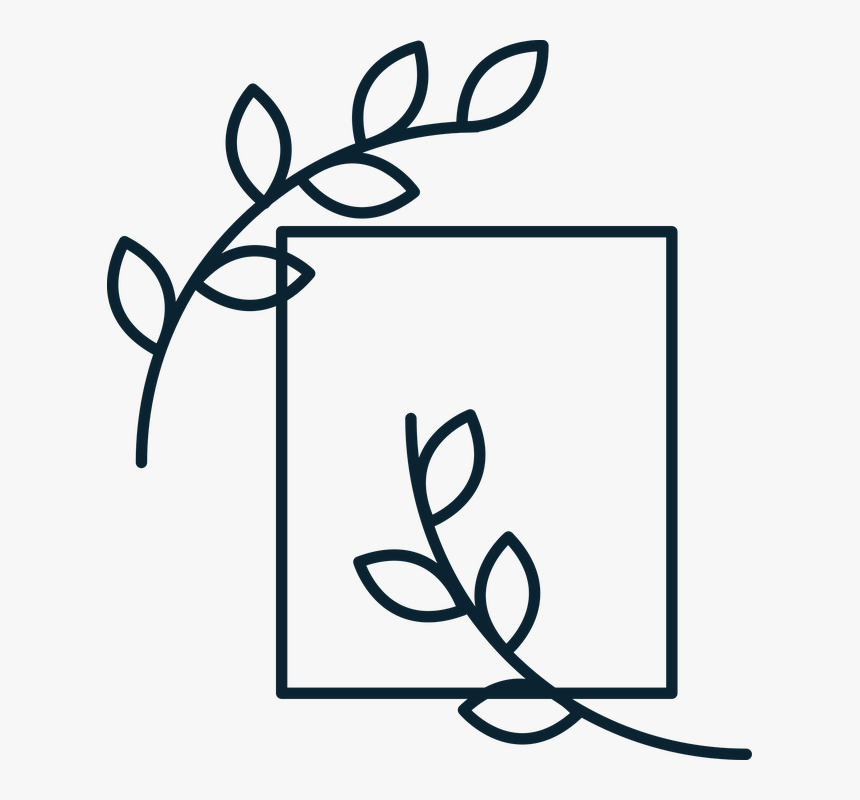 Graduation Diploma Png, Transparent Png