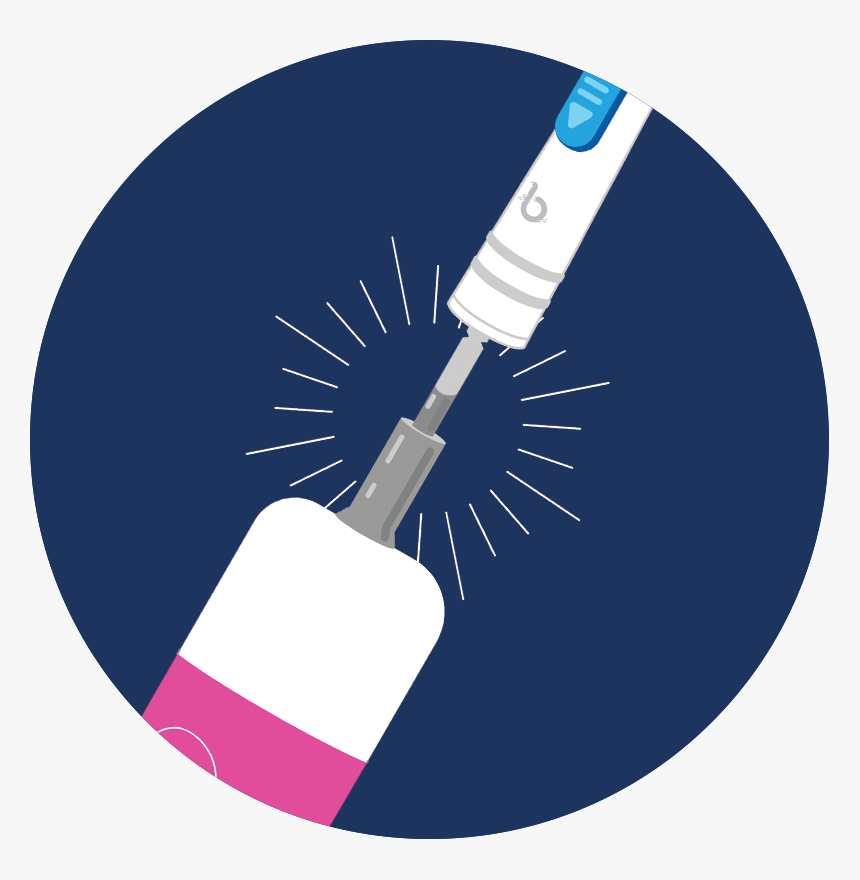 Circle, HD Png Download