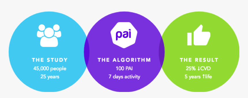 Nobel Prize-winning Faculty Of Medicine At The Norwegian - Circle, HD Png Download