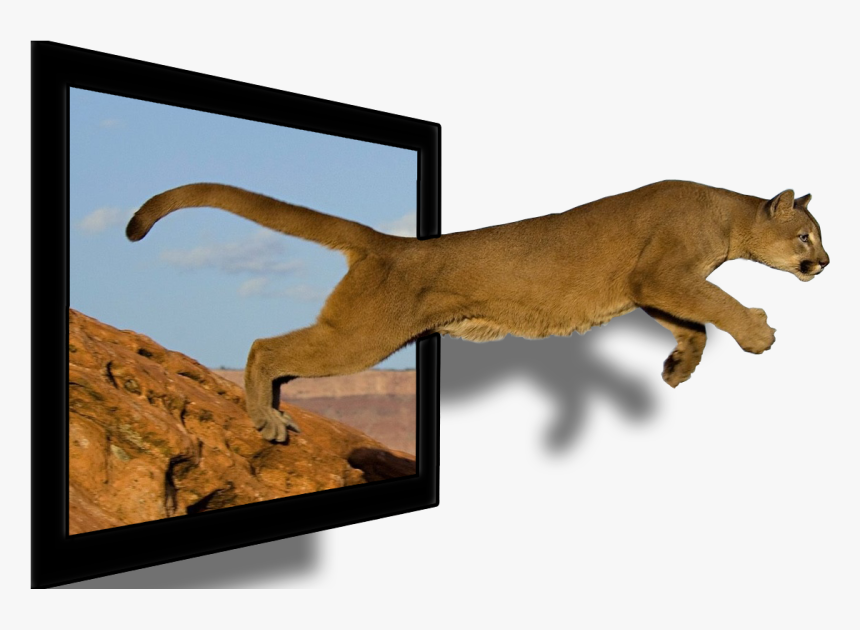 Mountain & Lion, HD Png Download