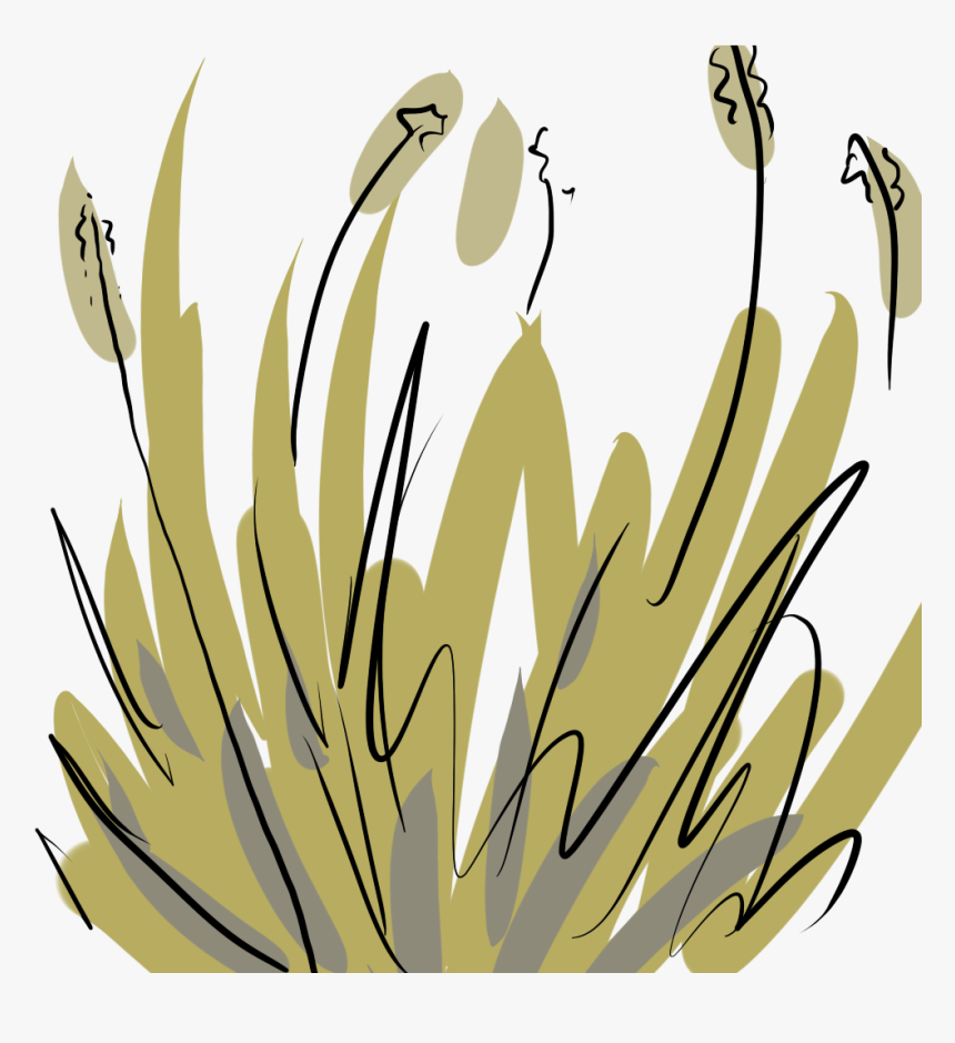 Clip Art, HD Png Download