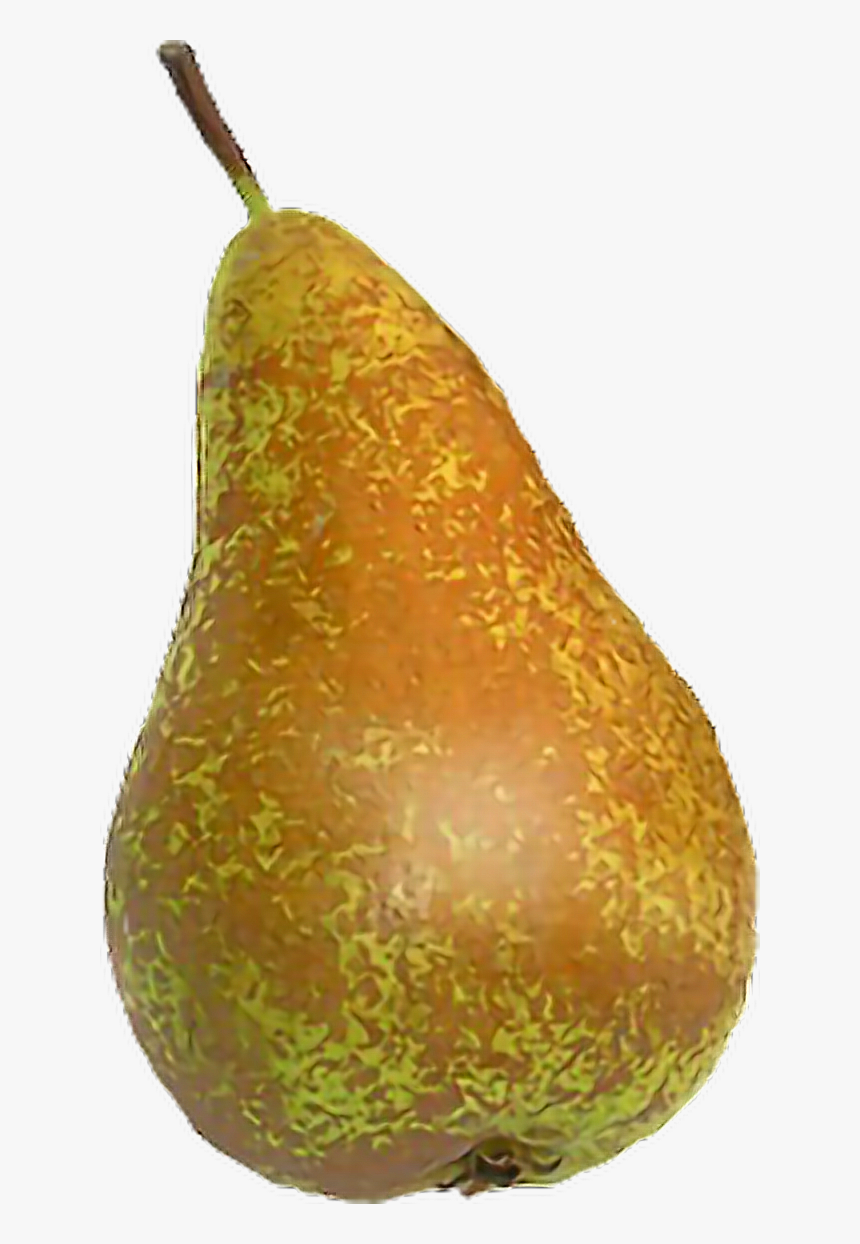 Transparent Pera Png - Pear, Png Download
