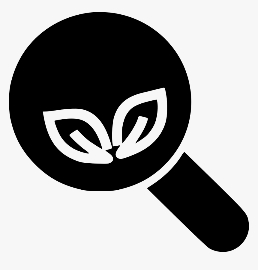 Organic Search - Circle, HD Png Download