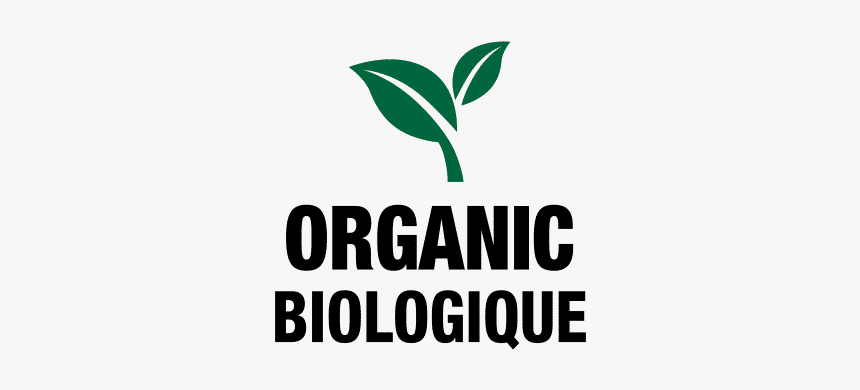 Graphics, HD Png Download