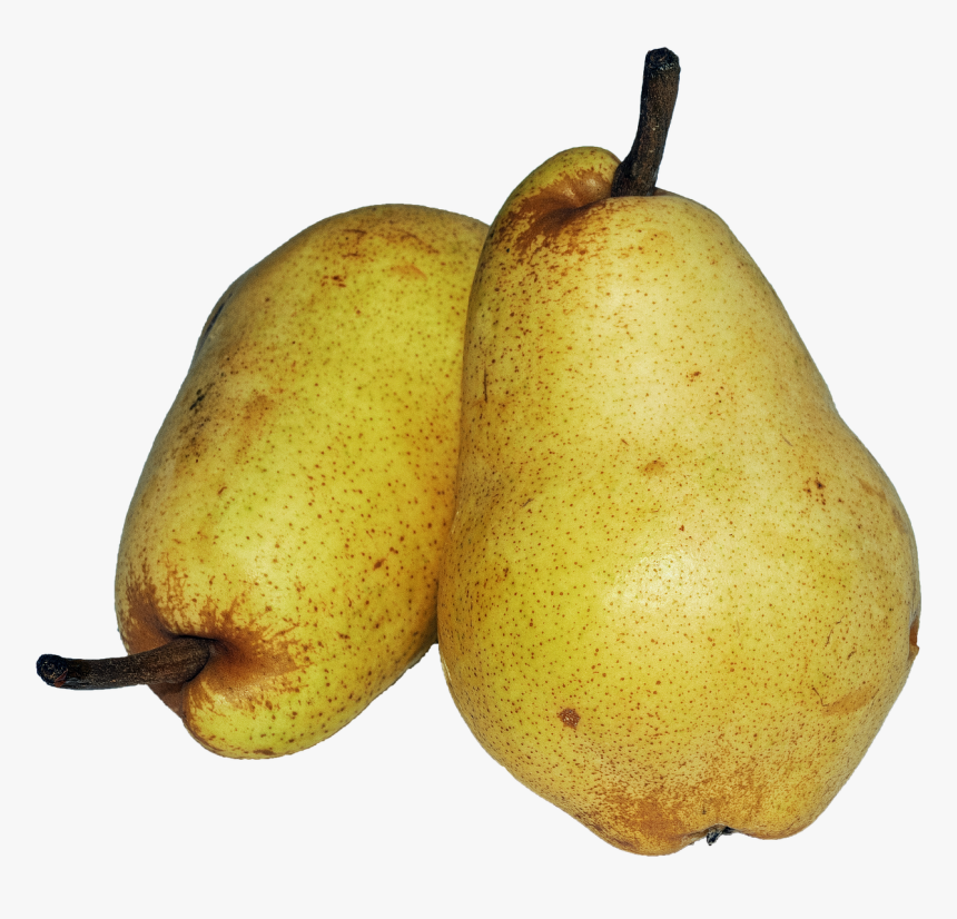 Pera, Cristo Williams, Opción Como Fruta De Mesa - Pear Williams Christ, HD Png Download