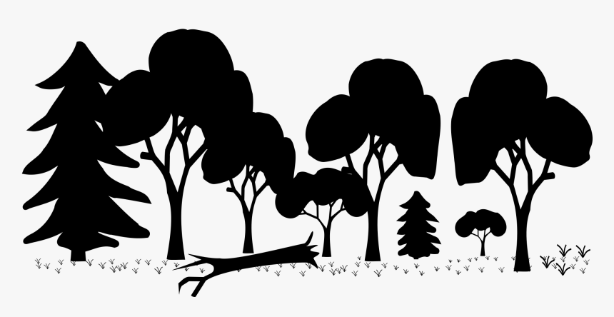 Forest Computer Icons Clip Art - Mixed Forest Clip Art, HD Png Download