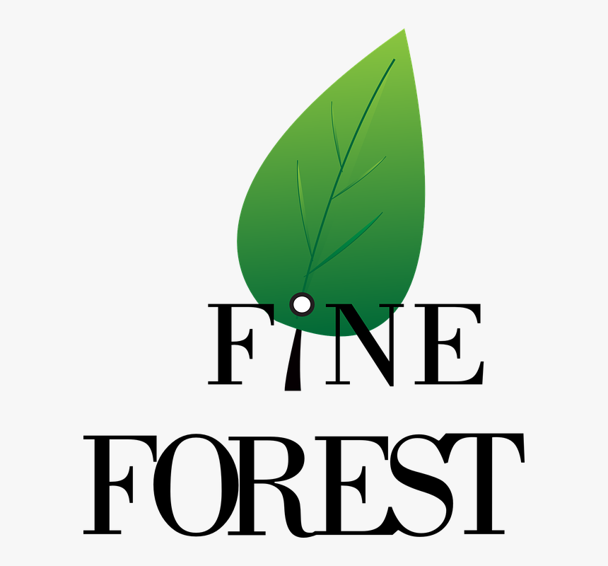 Logo, Forest, Symbol, Design, Nature, Sign, Icon - Poster, HD Png Download