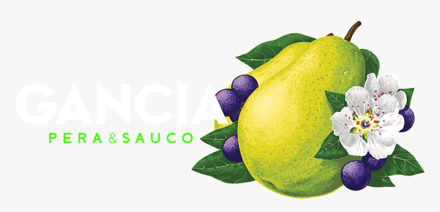 Viola, HD Png Download