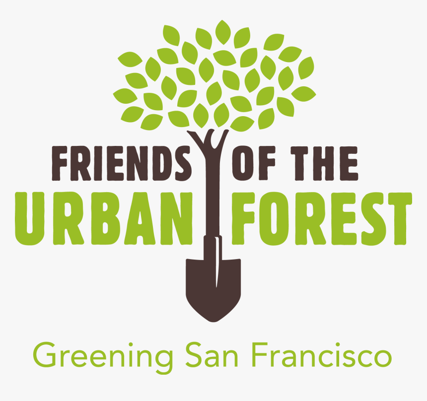 Tree, HD Png Download