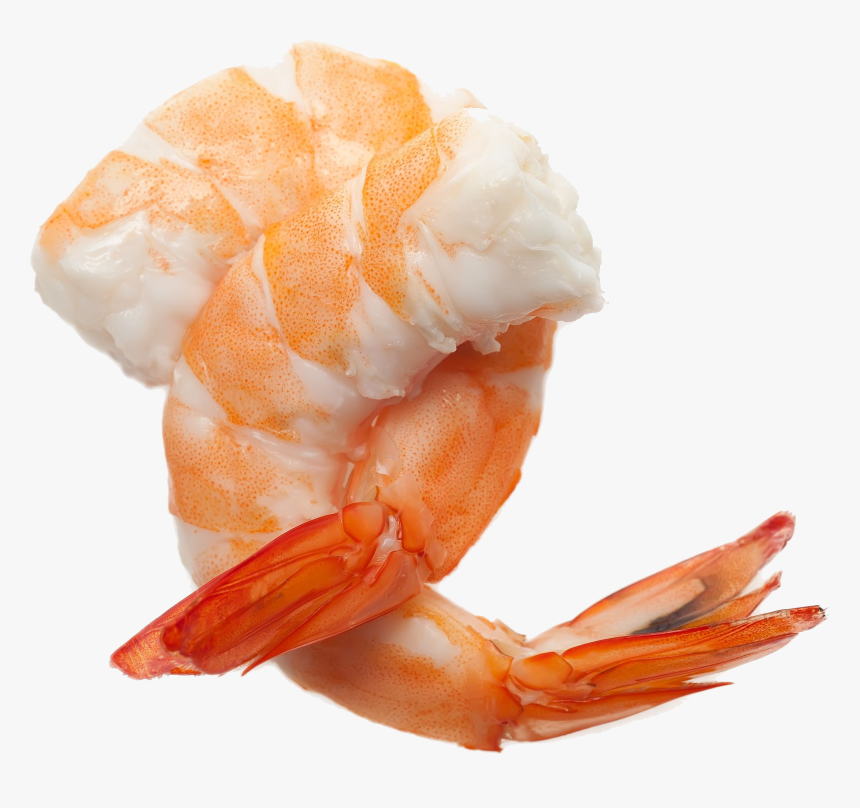 Shrimp Png, Transparent Png