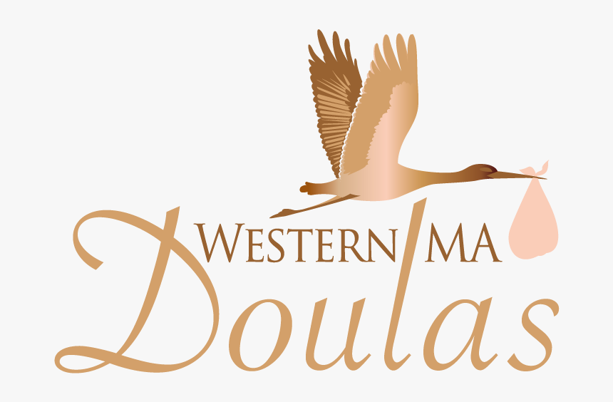 Accipitridae, HD Png Download