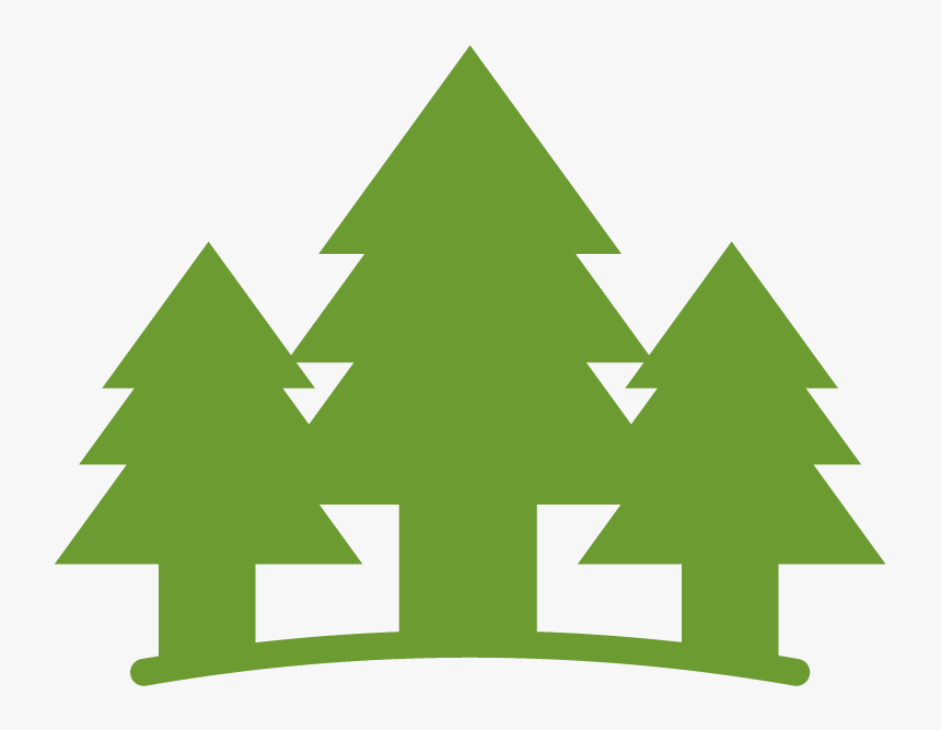 Christmas Tree, HD Png Download