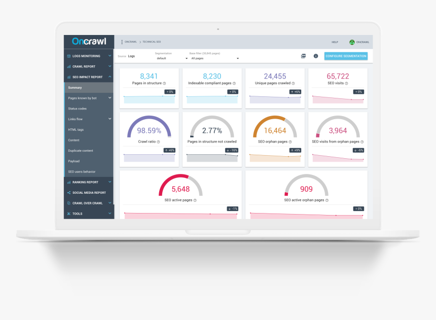 Capabilitites Seo Traffic - Adobe Analytics Seo, HD Png Download
