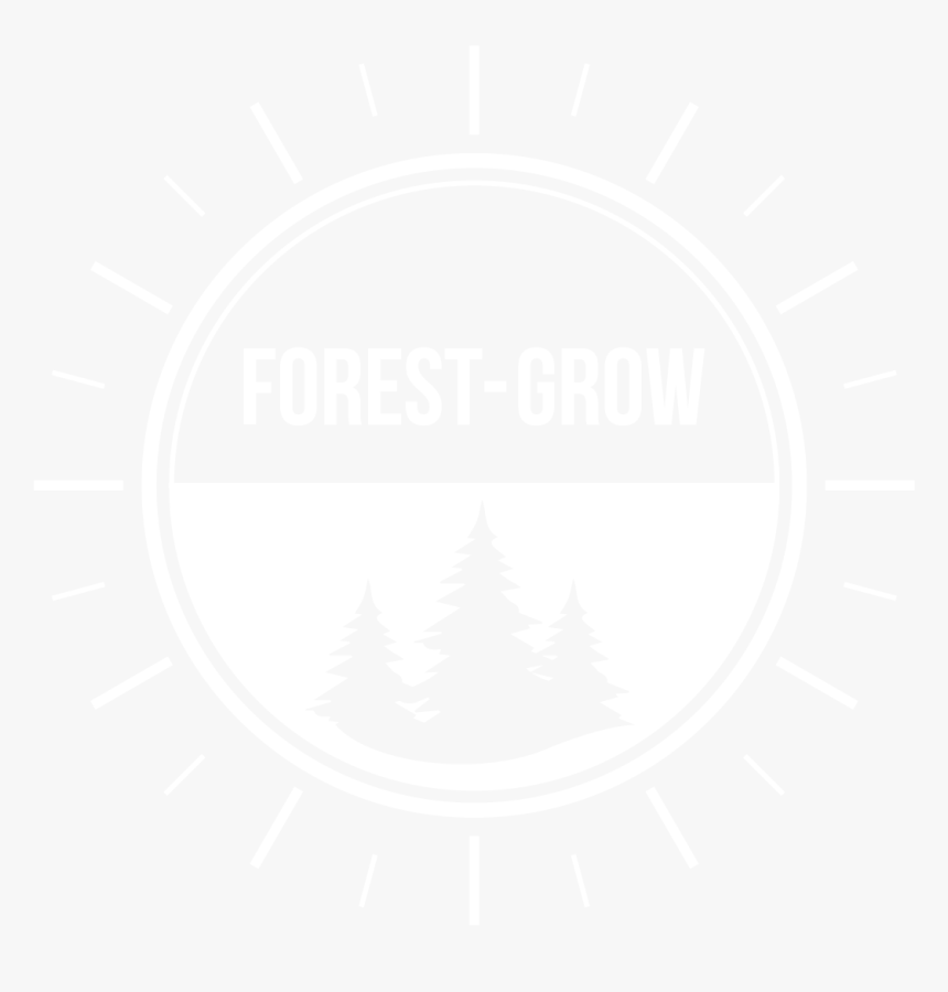 Christmas Tree, HD Png Download