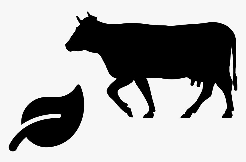 Sustainable Meat Icon - Transparent Cow Silhouette, HD Png Download
