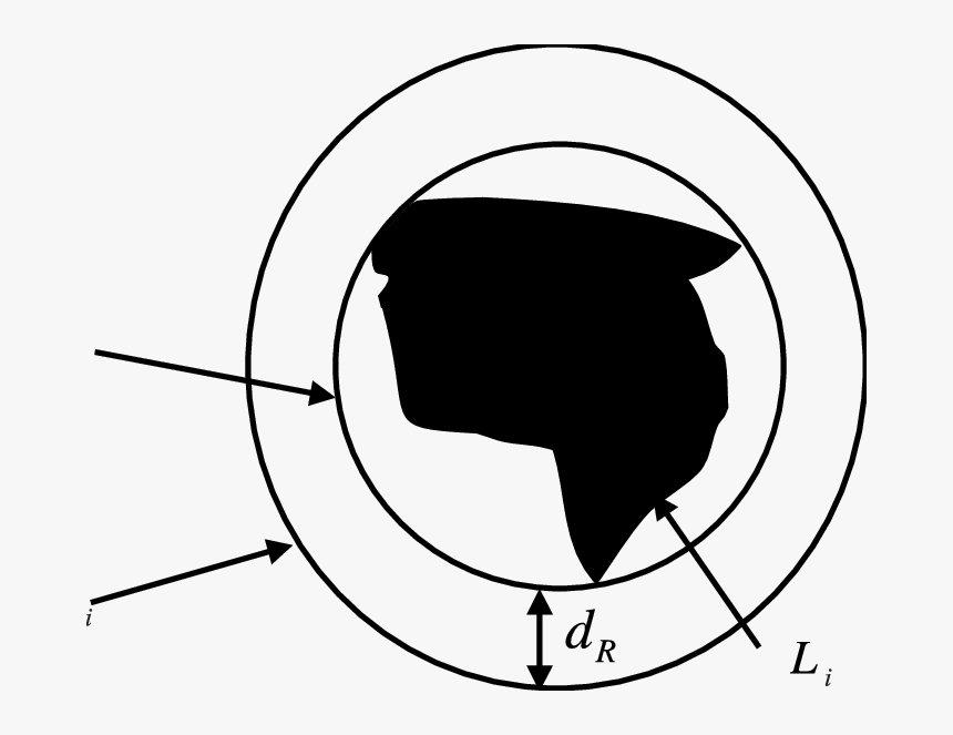 Biedronka Kolorowanka, HD Png Download