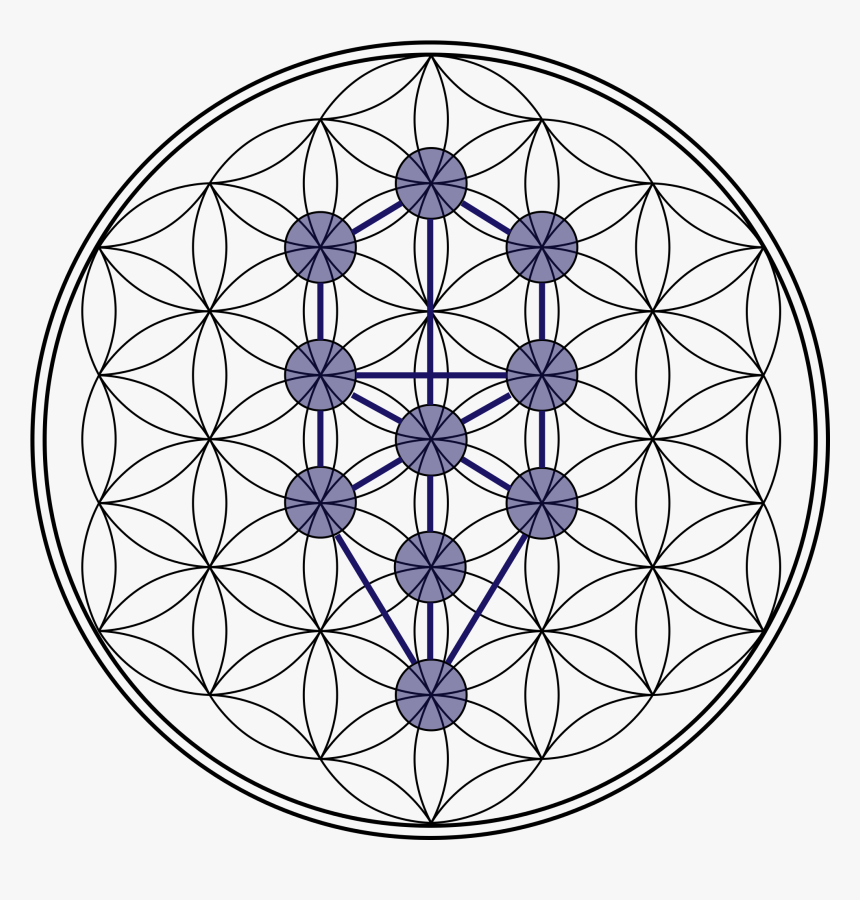 20171120 Ricard251 Id135214 Drevo Življenja - Tree Of Life Kabbalah Flower, HD Png Download