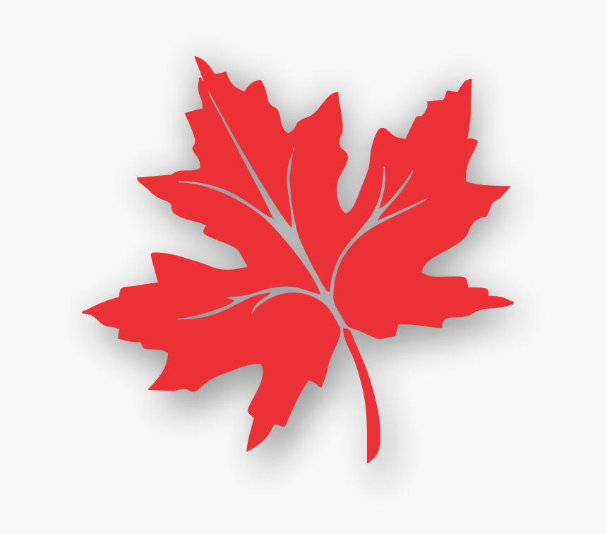 Transparent Maple Leaves Clipart - Chinar Leaf Kashmir Logo, HD Png Download