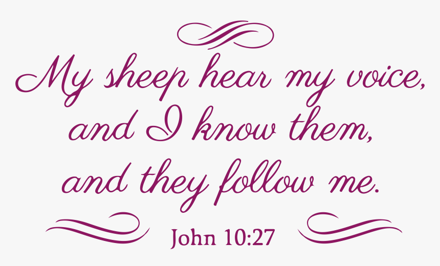 Pink Sheep Png, Transparent Png