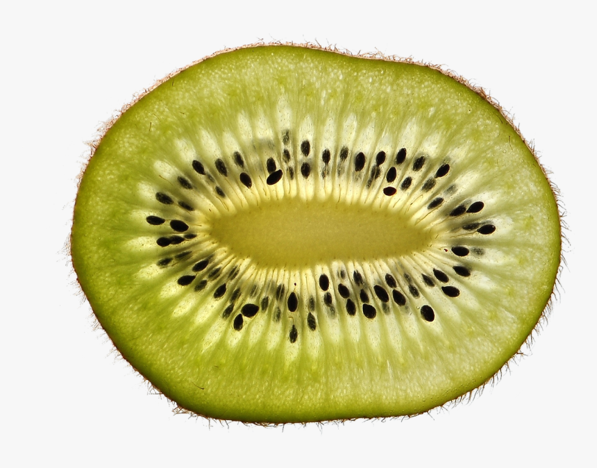 Close Up Pictures To Guess - Киви Png, Transparent Png