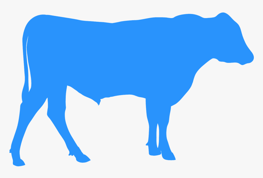 Clip Art, HD Png Download