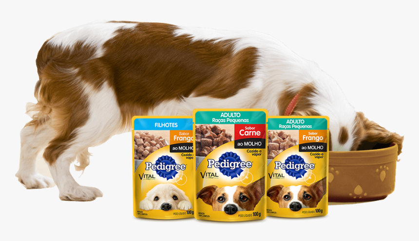 Pedigree Propaganda, HD Png Download