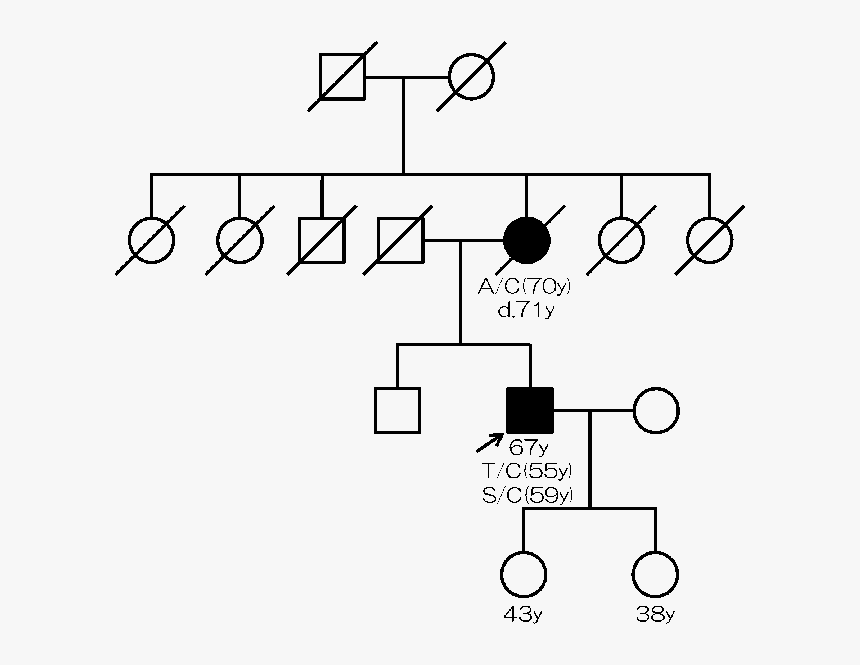 Diode De Roue Libre, HD Png Download , Transparent Png Image PNGitem