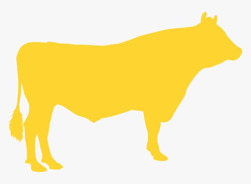 Dairy Cow, HD Png Download